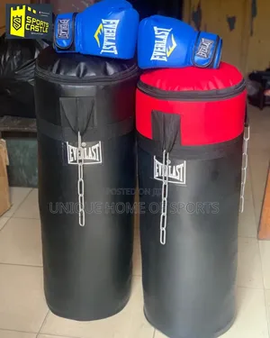 Medium Size Everlast Punching Bag