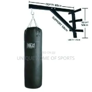 Everlast Punching Bag With Hanger (Medium)