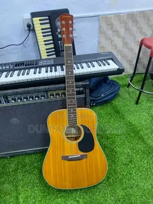 Acoustic Professional Guitar 