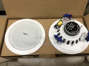 Bluetooth Ceiling Speaker