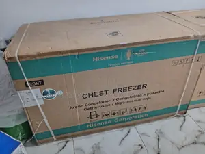 Hisense FC55DD 420L Fast Freeze Double Shelf Chest Freezer