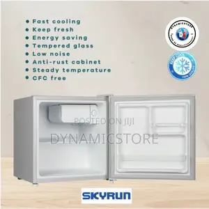 Skyrun 55l Bedside Refrigerator