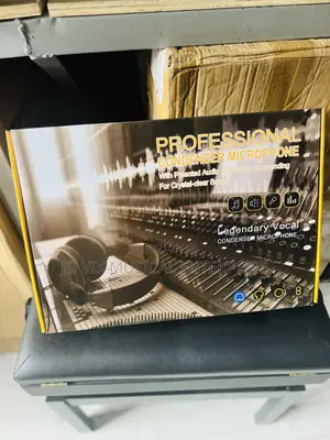 Professional Condenser Microphone