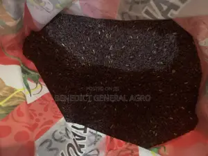 Brown Rice for Sale
