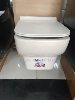 Executive Conceal WC