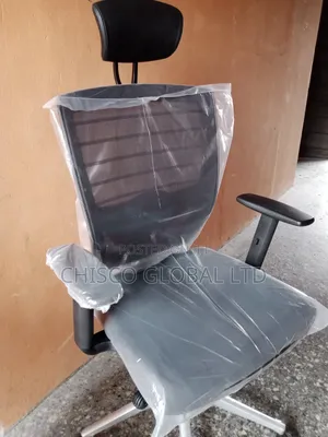 Office Chair (Ergonomic)