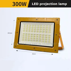 Explosion Proof Flood Light