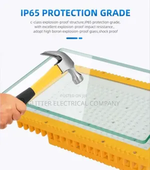 Explosion Proof Flood Light