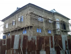 Building Construction, Finishing, and Renovation
