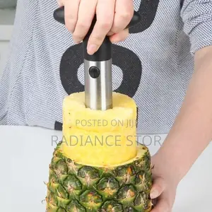 Pineapple Stainless Steel Peeler/Slicer/Cutter