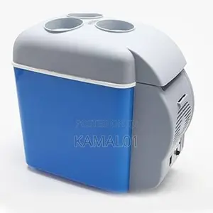 Portable Mini Car Fridge Freezer Cooler/Insulation 12V