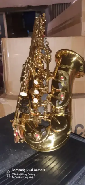 Professional Standard Alto Saxophone