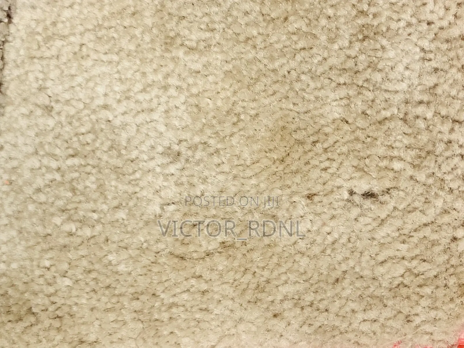 Quality Rugs