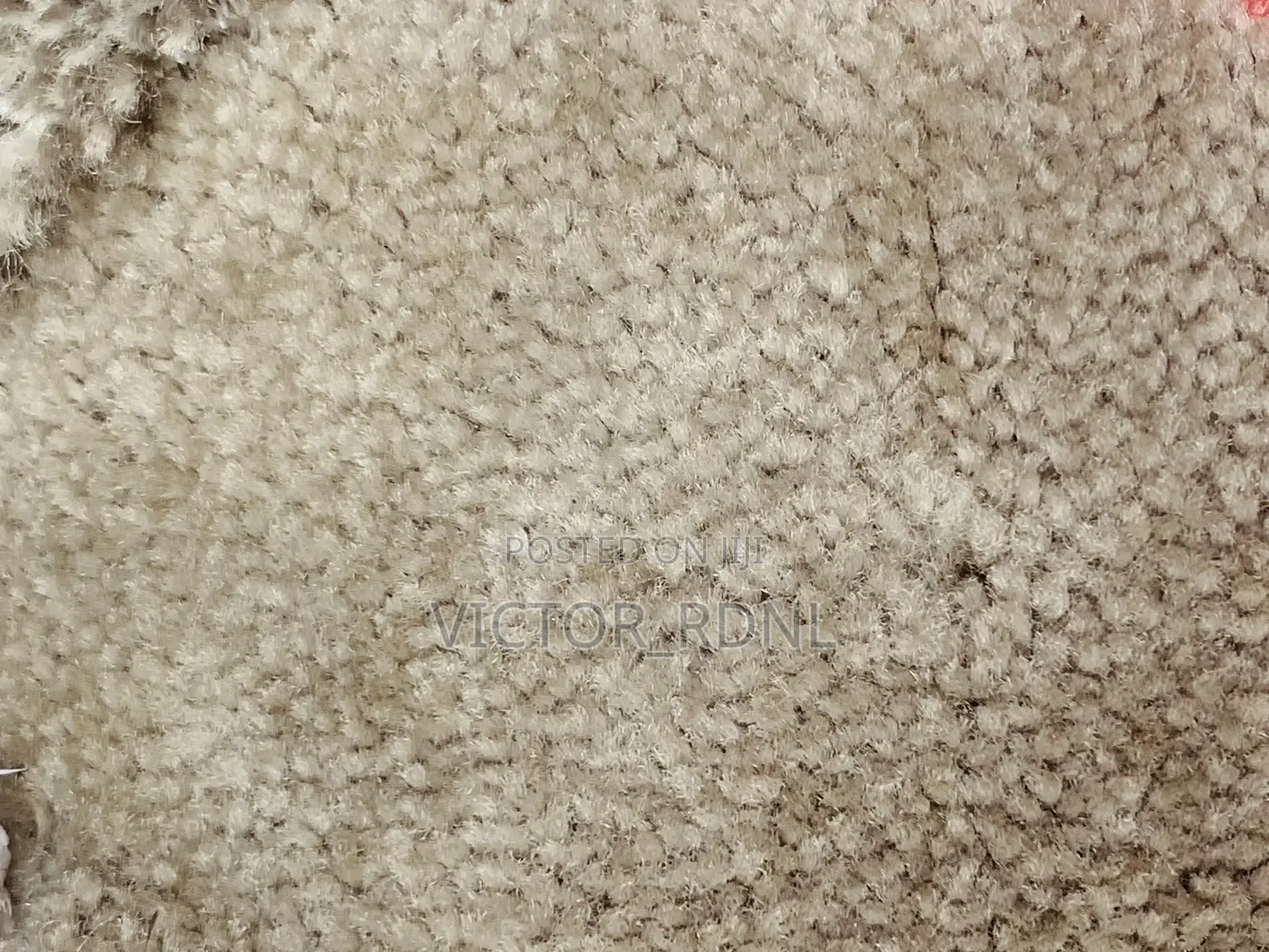 Quality Rugs