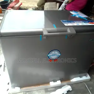 Haier Thermocool Inverter HTF 319 Silver
