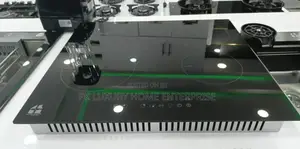 4 Burner Induction Hotplate