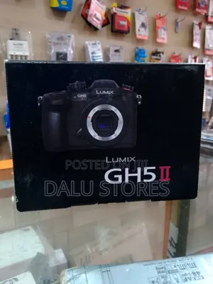 Panasonic Lumix Gh5 Ii Mirrorless Camera