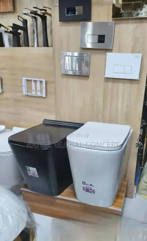 Floor Mounted Concealed WC