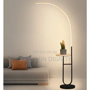Modern Interior Standing Lamp