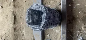 Galvanized Barb Wire