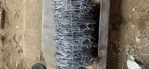 Galvanized Barb Wire