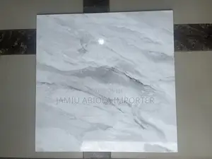 60*60 Quality Tiles Grade a And