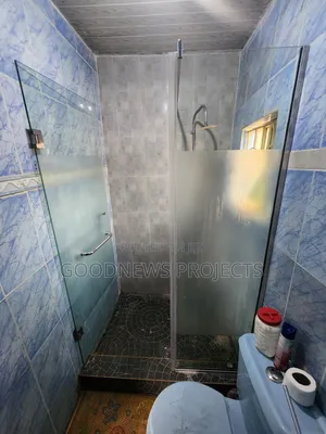 Silver Hinged Shower Glass