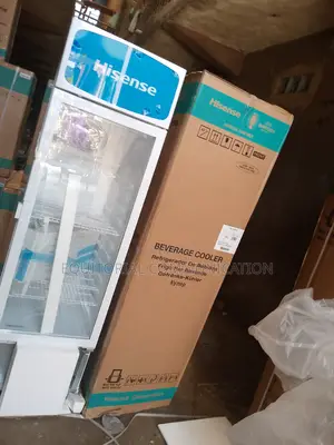 Best Claasic Showcase Hisense 222litres Chiller