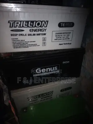 Dead Inverter Batteries