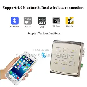 Smart Home 25w Bluetooth Wall Amp
