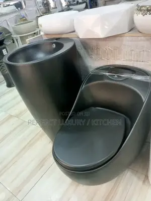 Black Color W.C Water Closet With Standing Wash Hand Basin