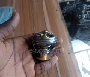 Ford Edge Thermostat (Brand New)