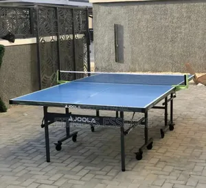 Newly Imported Joola Outdoor Table Tennis