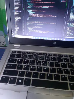 Web and Software Developer