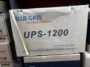 Blue Gate 1.2KVA UPS, Line Interactive - BG1200 (IRON BODY)