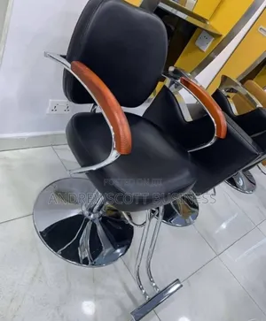 Salon Chair
