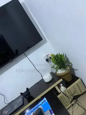 Indoor Potted Plant for Air Purifier and Aesthetic Look
