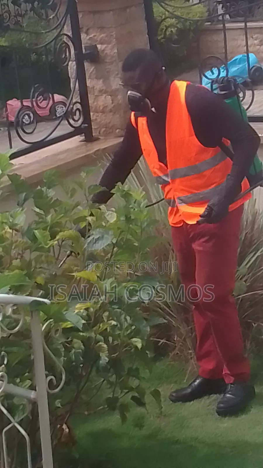 Professional Fumigation/Pest Control Services