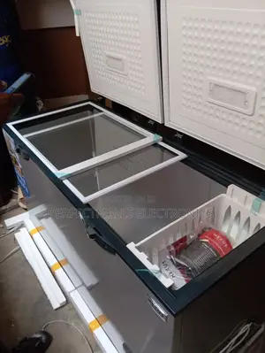 420L Double Door Fast Freezing Chest Freezer Nx-800