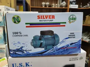 0.5hp Silver Water Pump