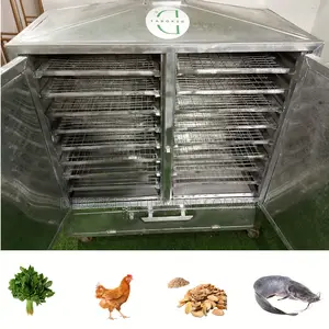 Premium Fish Drying Oven for High-Volume Production