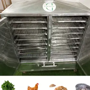Innovative Fish Drying Oven With Gas Charcoal Options