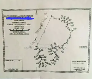 22.3 Hectares Waterfront Land For Sale In Oghara
