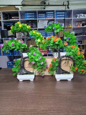 Potted Flowers/Artificial Flowers for Decor