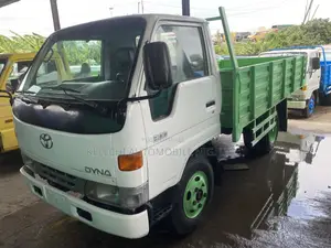 Toyota Dyna 300