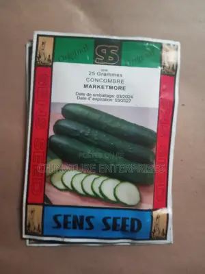 Greenish Cucumber Planting Seeds (10gm Packet)