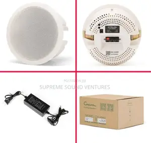 Bluetooth Ceiling Speaker