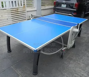 Classic Foldable Outdoor Table Tennis With Delivery