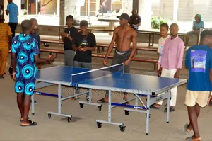 Aluminum SMC Joola Table Tennis Board.