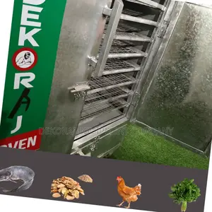 Innovative 400pcs Fish Drying Oven With Energy Flexibility